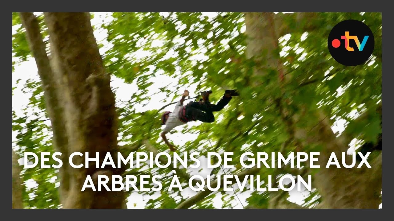 SPORT. Championnat de grimpe d'arbre freestyle