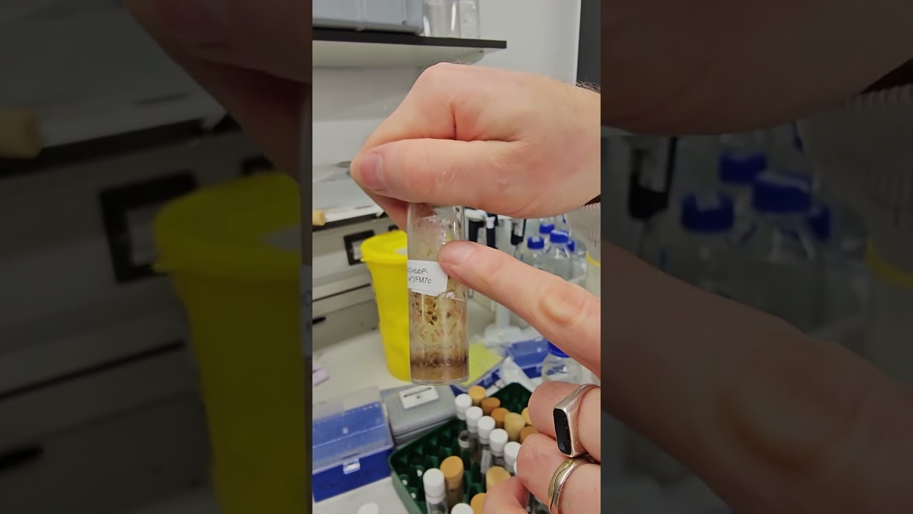 03 Fruit Fly Research Lab tour at Exeter University with Professor James Wakefield