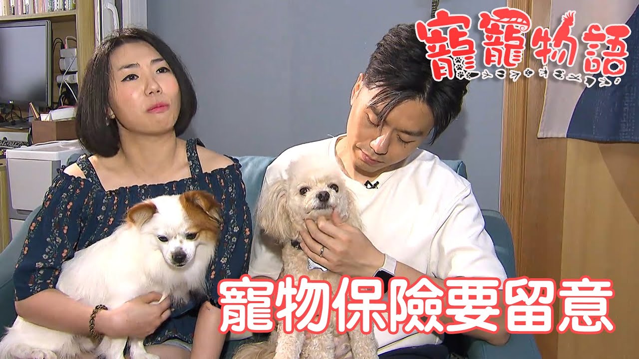 寵寵物語｜Pet Talks｜寵物保險要留意｜TVB_Variety
