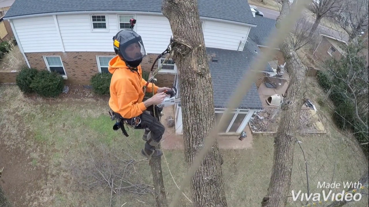 😱SPEED KILLS😱 (Tree Climbing Fail)