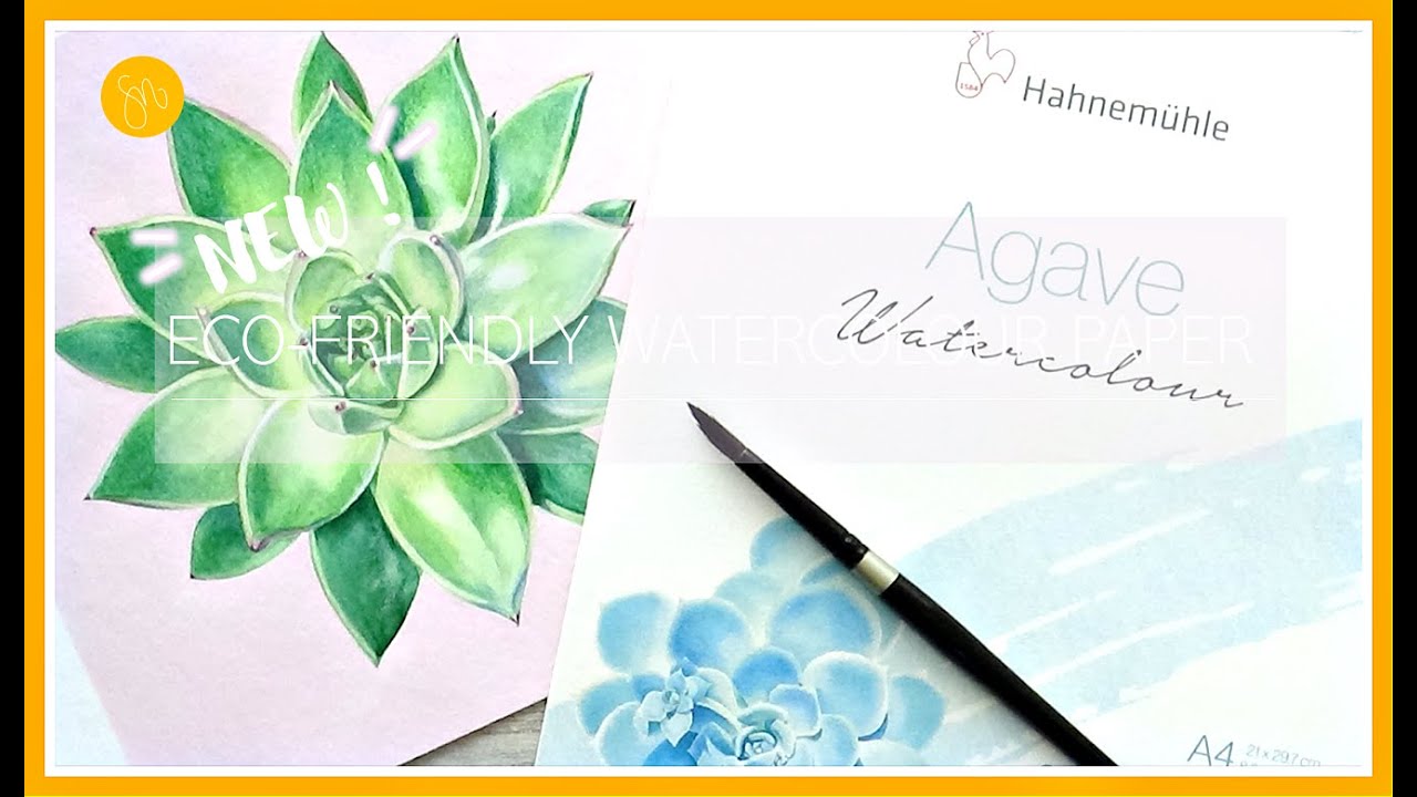 NEW! Eco Friendly WATERCOLOUR PAPER by Hahnemuhle | Succulent painting