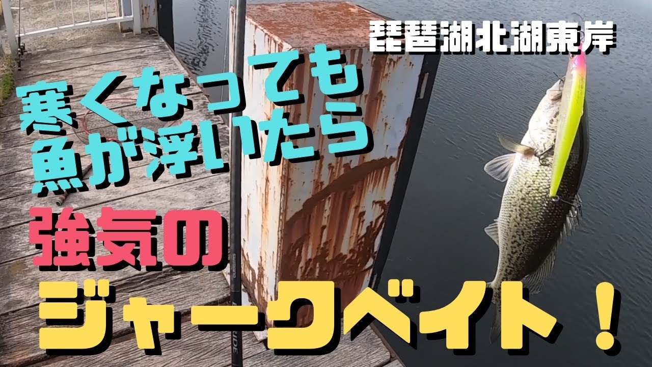 【琵琶湖バス釣り】前回釣れなかった“マルノミ”チャレンジ！今回は穏やかな琵琶湖でしたが、様子的にこれが合うんじゃないかと思ったら、正解！ジャークベイトはやっぱり強い！