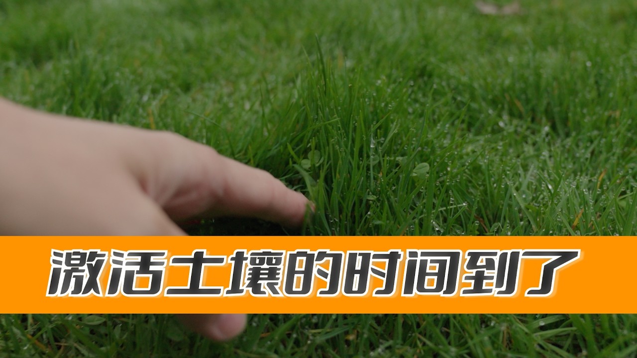激活草坪土壤 春天是最好的时机 + 一点点最近的更新