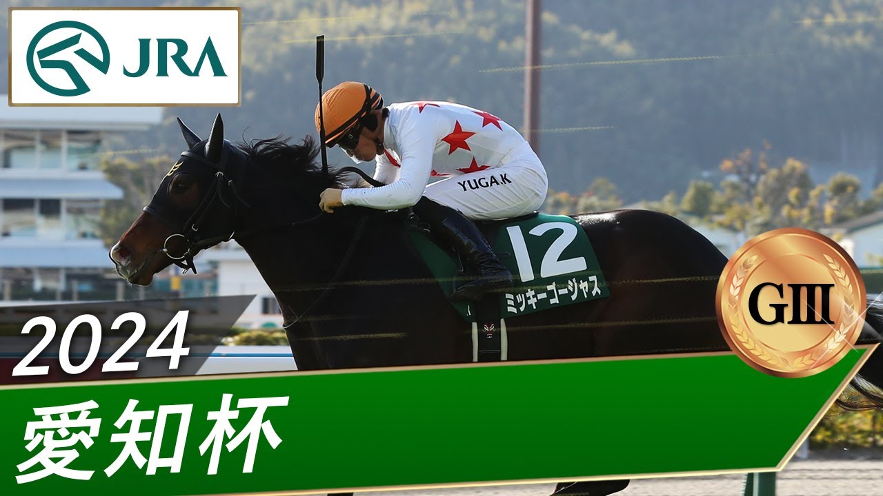 2024年 愛知杯（GⅢ） | ミッキーゴージャス | JRA公式