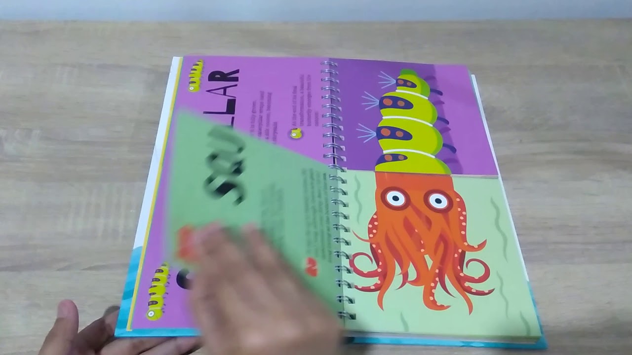Curious Creatures WS Kids