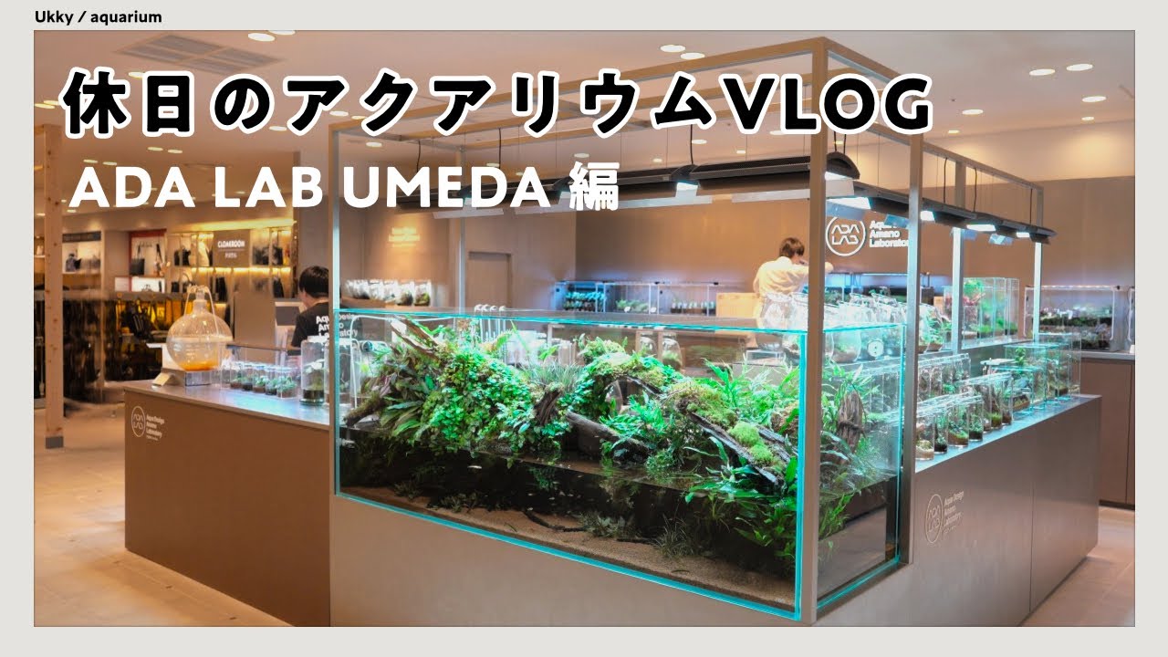 ADA LAB UMEDAにお出かけした休日 #13【アクアリウム】VLOG