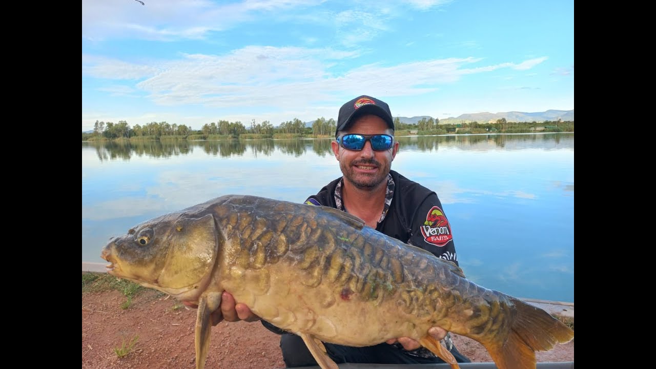 DIE NYL - VENOM BAITS