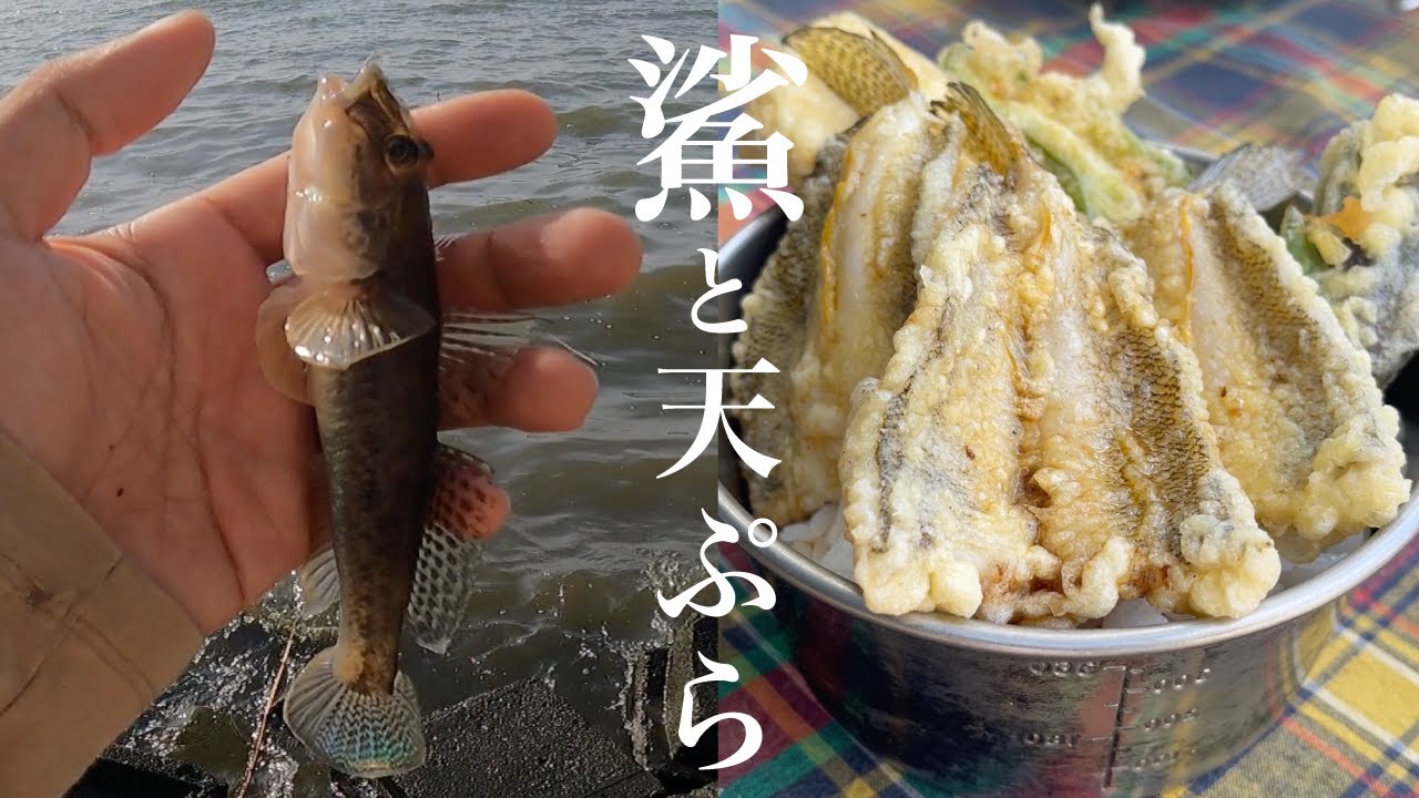 ハゼ延べ竿釣りと揚げたてハゼ天ぷら・天丼​【茨城涸沼 2023年】
