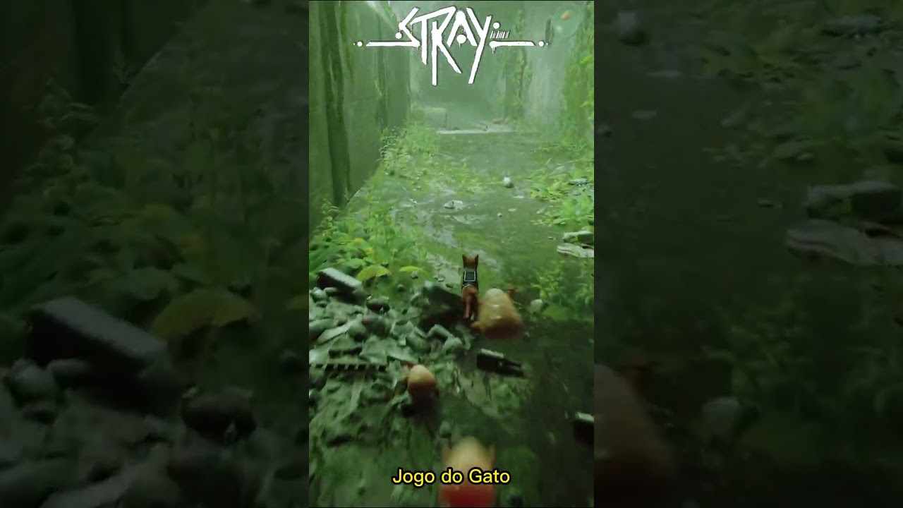 Stray - Jogo do Gato