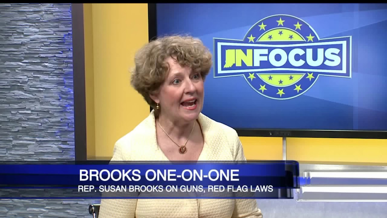Brooks on red flag laws, gun control debate
