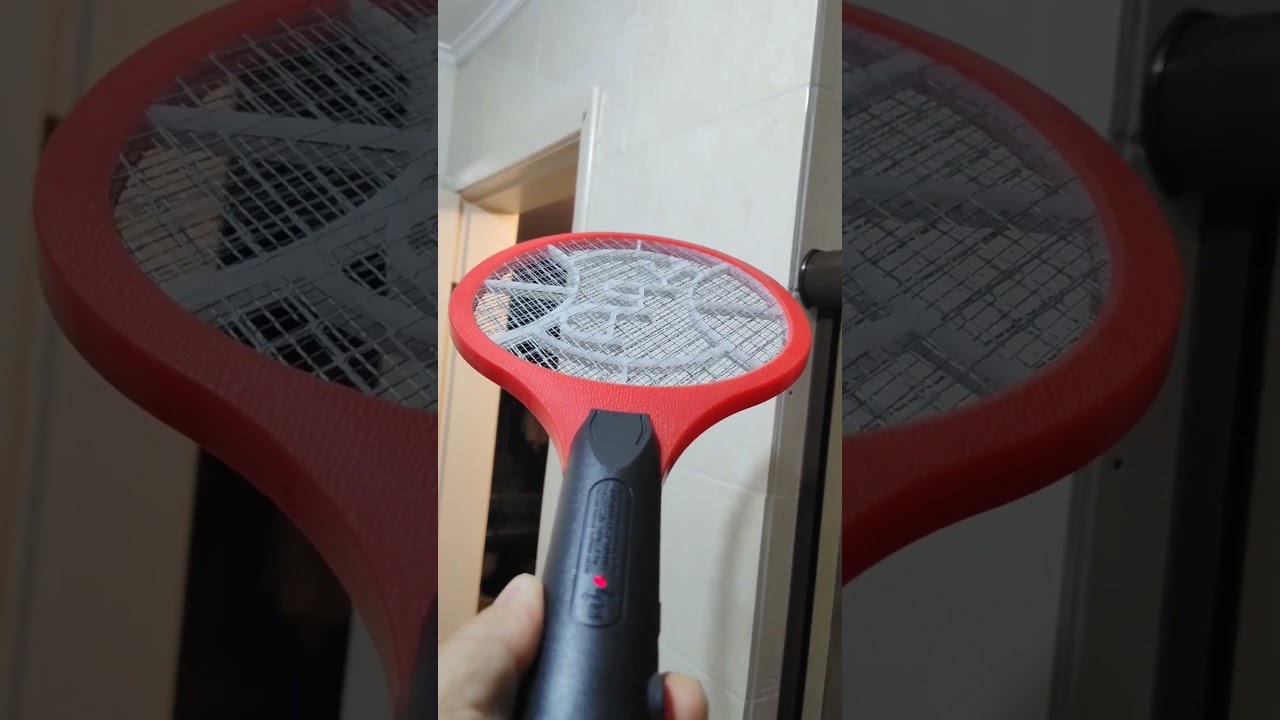 Eletrocutando aranha marrom com uma Raquete el&eacute;trica de choque #aranhas #raquete #choque #spider