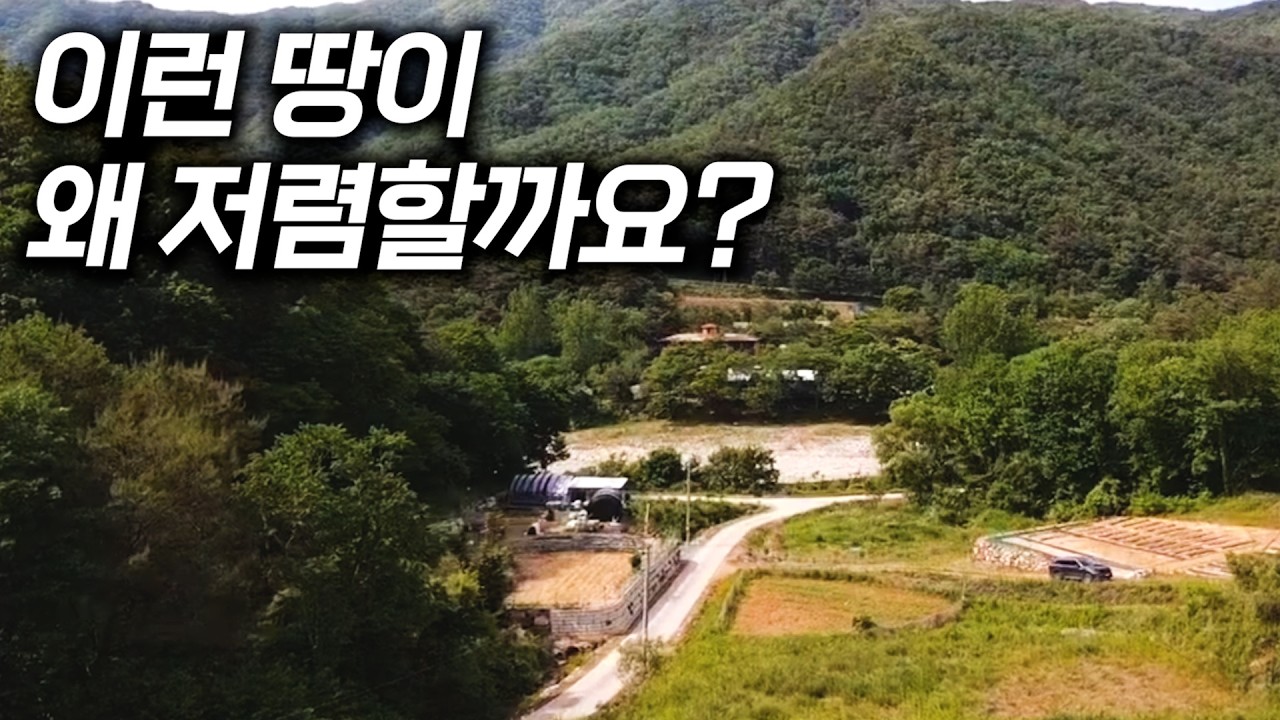 주천강에서 놀고 다슬기도 잡는 땅... 이 가격이 맞나요?