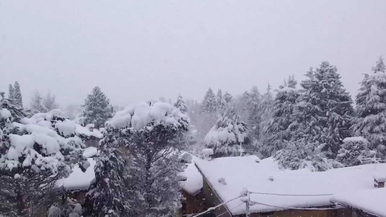 Nevicata del 24-25 febbraio 2013 a Proserpio