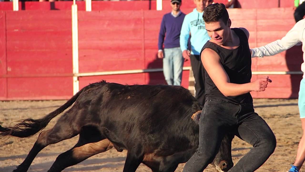 Diana, vaquilla y huevos fritos NAVAHERMOSA 2015
