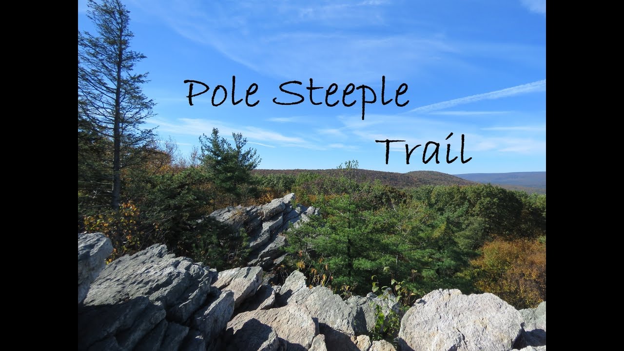 Пешеходный маршрут Pole Steeple Trail, государственный лес Мишо, штат Пенсильвания.