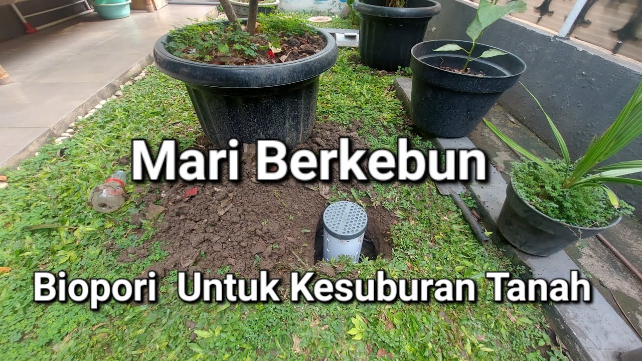 Salurkan Hobi dengan Berkebun di Halaman | Edisi Biopori