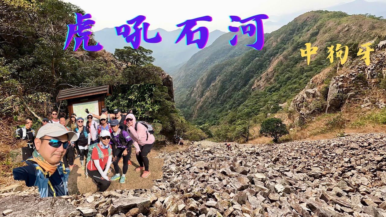 中狗牙坑｜虎吼石河｜中狗牙｜隊友膽敢招惹蜂穴🐝嚇得大家立刻四散😆 [香港行山郊遊好去處] #138