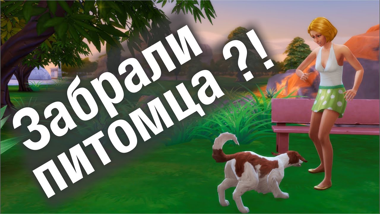 СЛУЖБА ПО ЗАЩИТЕ ЖИВОТНЫХ  ЗАБРАЛА ПИТОМЦА !!! КАК ВЕРНУТЬ ??  | THE SIMS 4