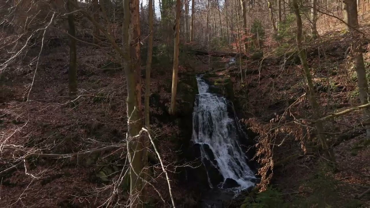 Thüringer Wald