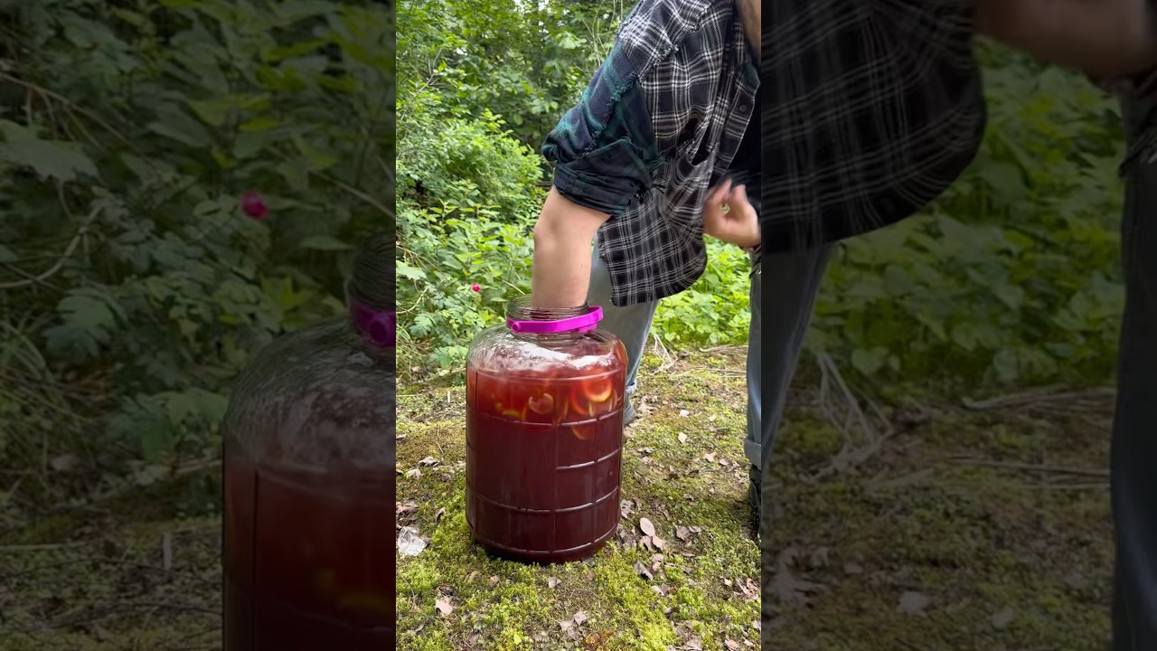 САМЫЙ Дачный Пунш в МИРЕ! #shorts #alcohol  #рецепт #простойрецепт #cocktail