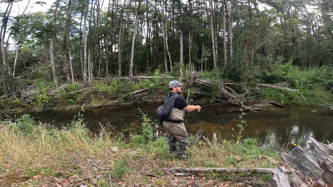 Explorando RIACHUELO ESCONDIDO ¡Plagado de TRUCHAS!