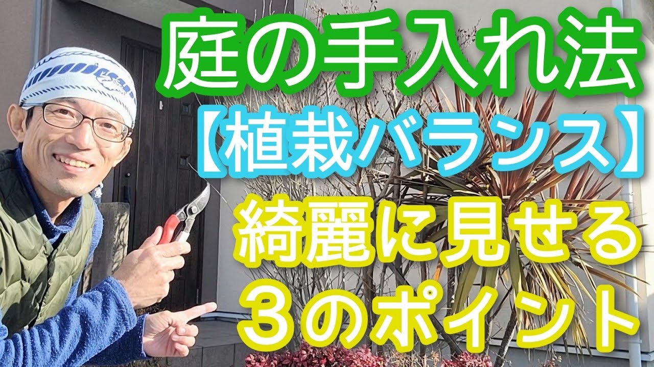 【庭の手入れのコツ】密を解消して心地よい空間に変えたい(2026年1月)🏡✨️