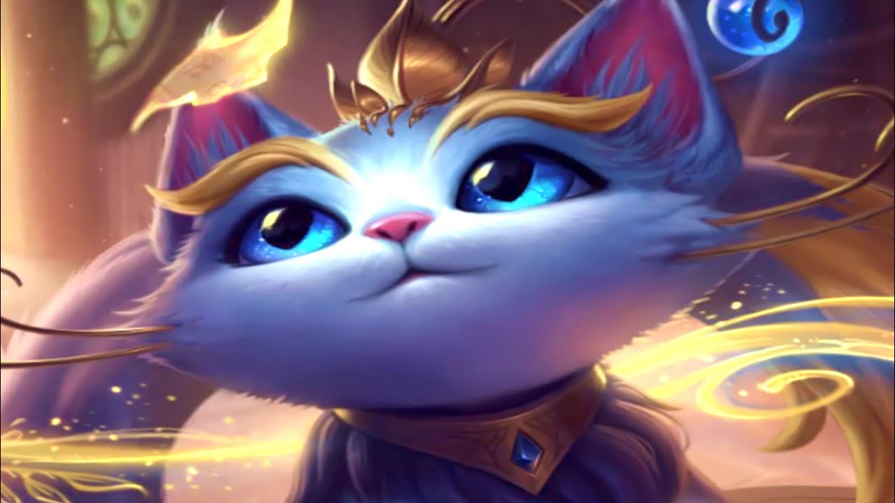 meow meow meow meow meow meow meow meow