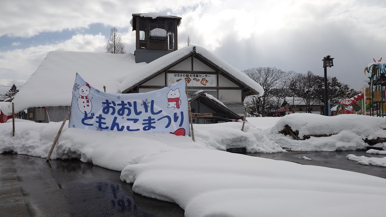 新潟県関川村から帰り道の国道290号線の雪上走行実況動画！