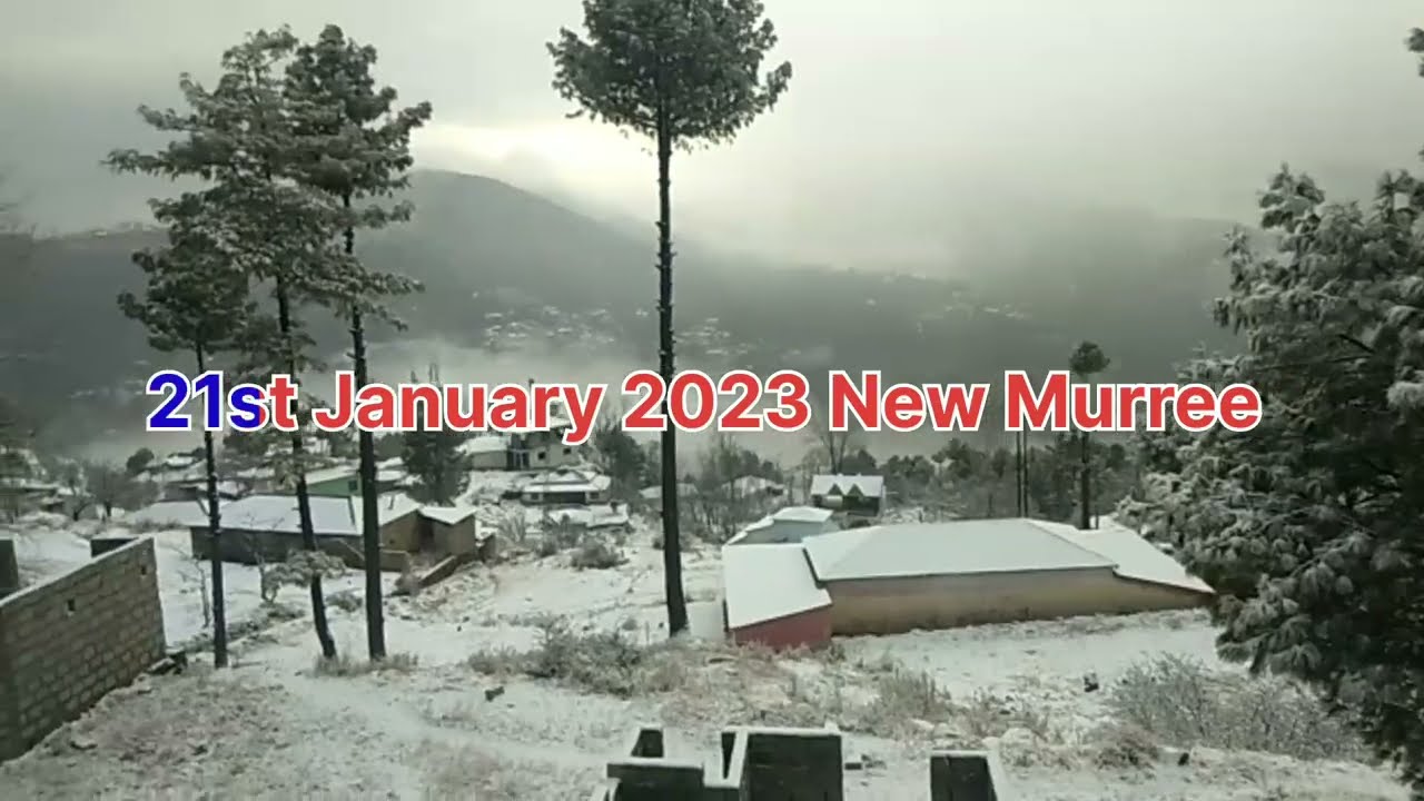 21st January 2023 New Murree Snowfall | نیو مری پتریاٹہ | موسمی_صورتحال