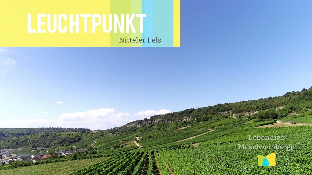 Nitteler Fels
