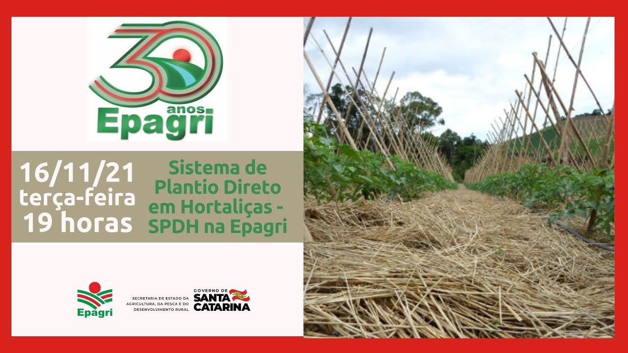 Epagri 30 anos: SPDH na Epagri