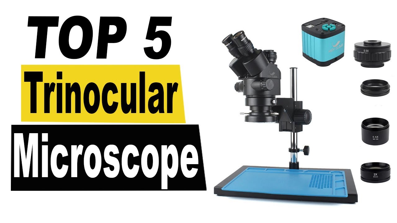 TOP 5 Best Trinocular Stereo Microscope Review 2025