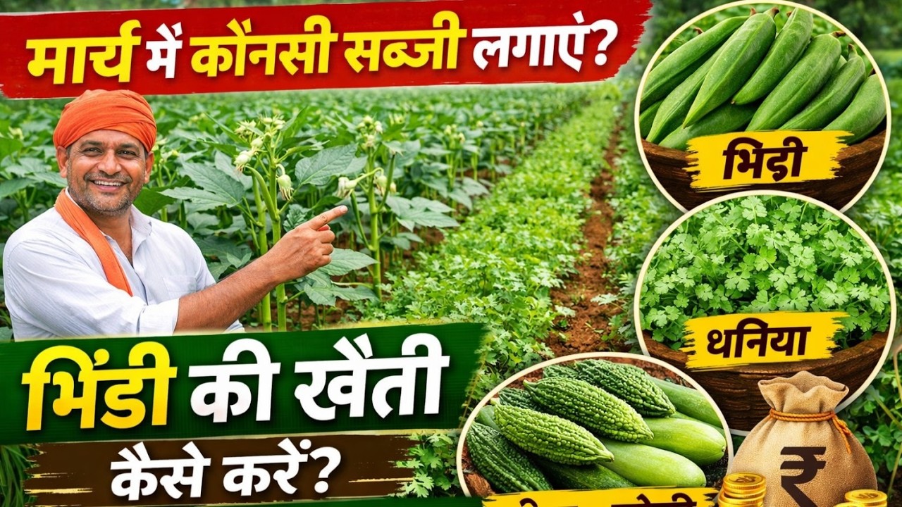 March me konsi sabji lagaye | मार्च में भिंडी की खेती कैसे करें | Bhindi ke sath kaunsi sabji lagaye