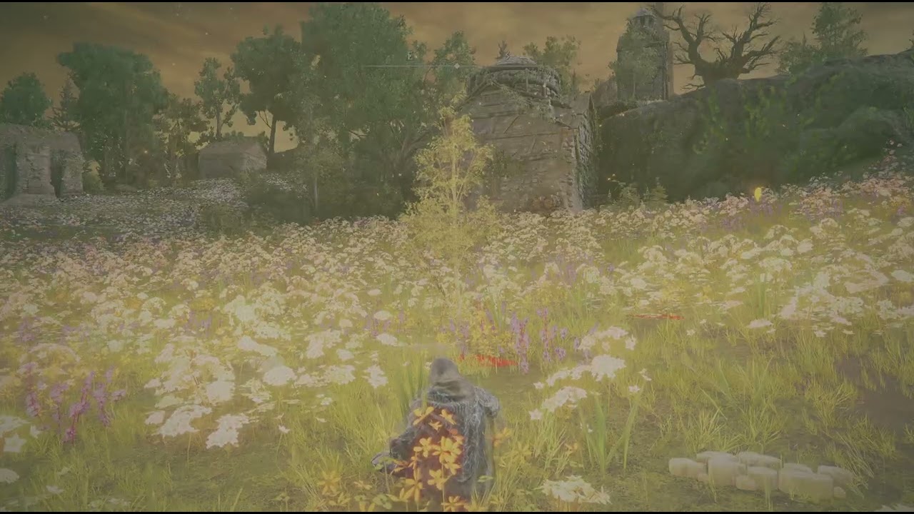 Shaman Village Elden Ring DLC