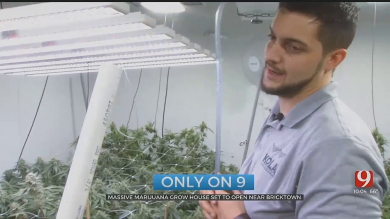 Former NFL Player Oklahoma Native To Open Large Marijuana Grow In OKC