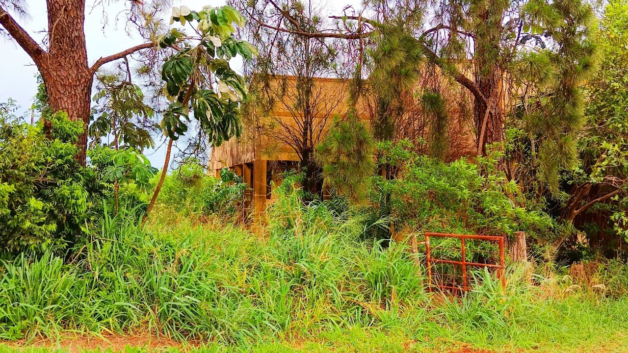 Família Inteira Abandona Casa com Tudo Dentro, Móveis Raros de Alto Valor, Guarda Roupa, Cristaleira