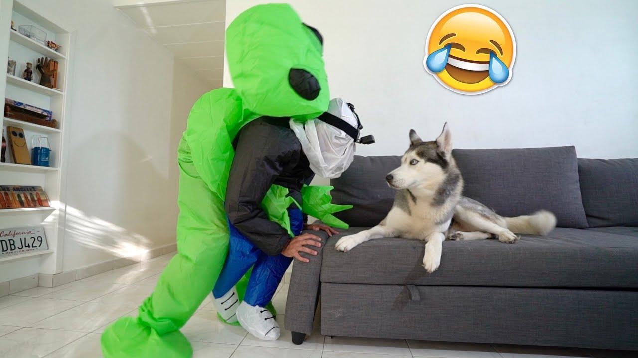 Pranking my Dog with Alien Costume (HILARIOUS)
