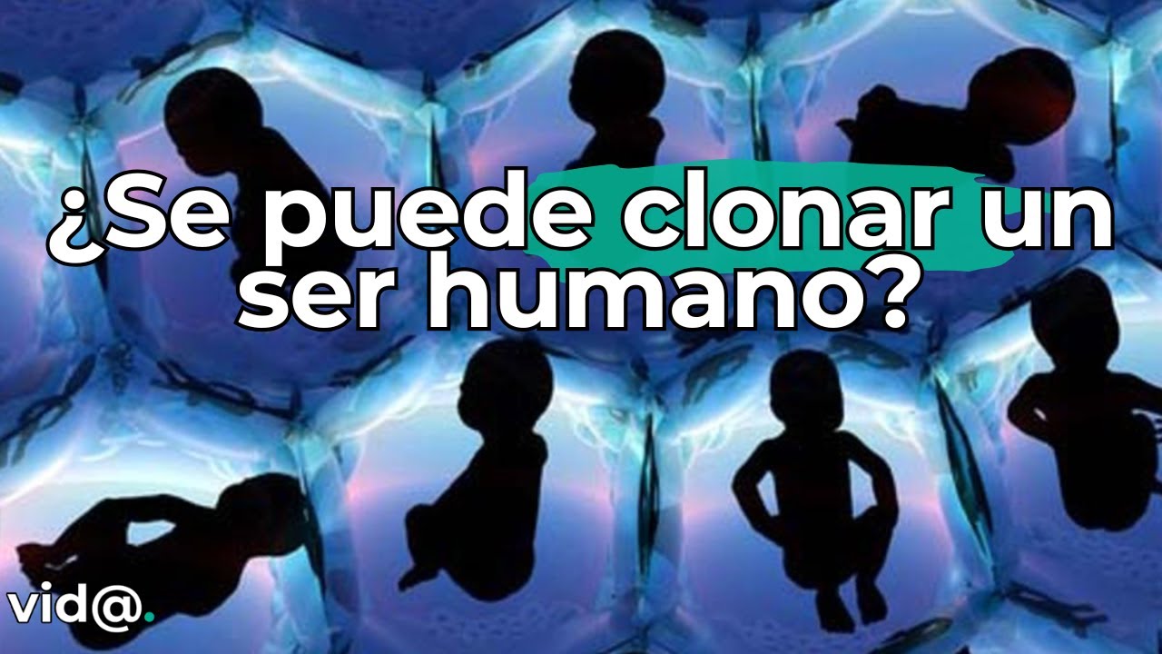 &iquest;Se puede clonar un ser humano? La verdad sobre la clonaci&oacute;n gen&eacute;tica#vidatv #