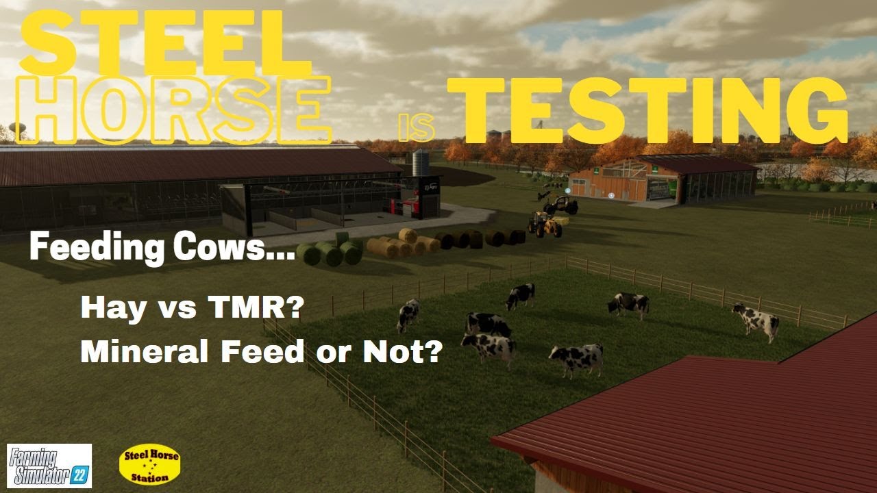 Cow Feeding - Hay vs TMR ( Mineral Feed or Not) - Tips and Tutorials