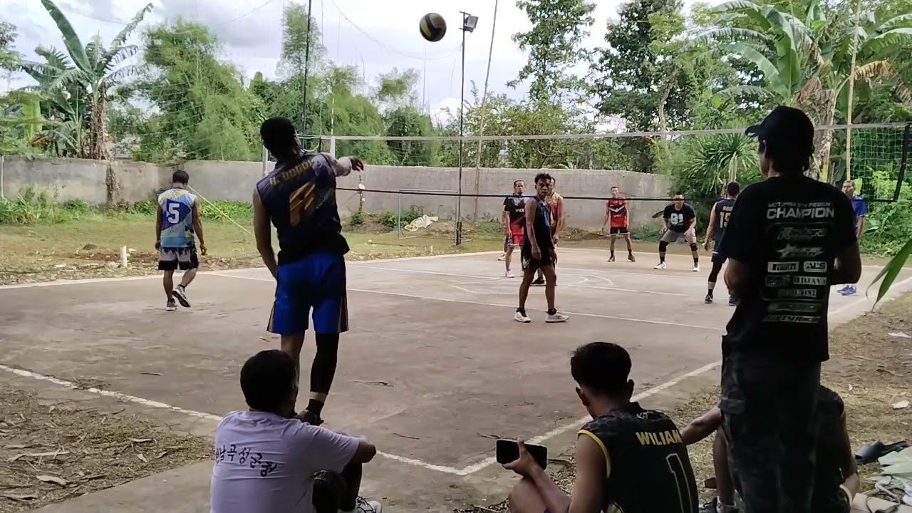 Liga kalivo