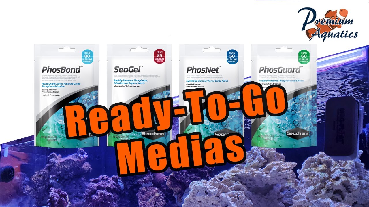 Tank Series - Seachem Ready-To-Go Medias