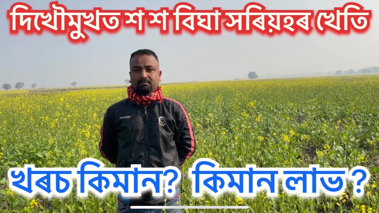 যুৱকে সৰিয়হৰ খেতি কৰি আদৰ্শ দেখুৱাইছে।কম টকাত অধিক লাভৱান হোৱা খেতি Mustard Seed #uparjan #pranjal
