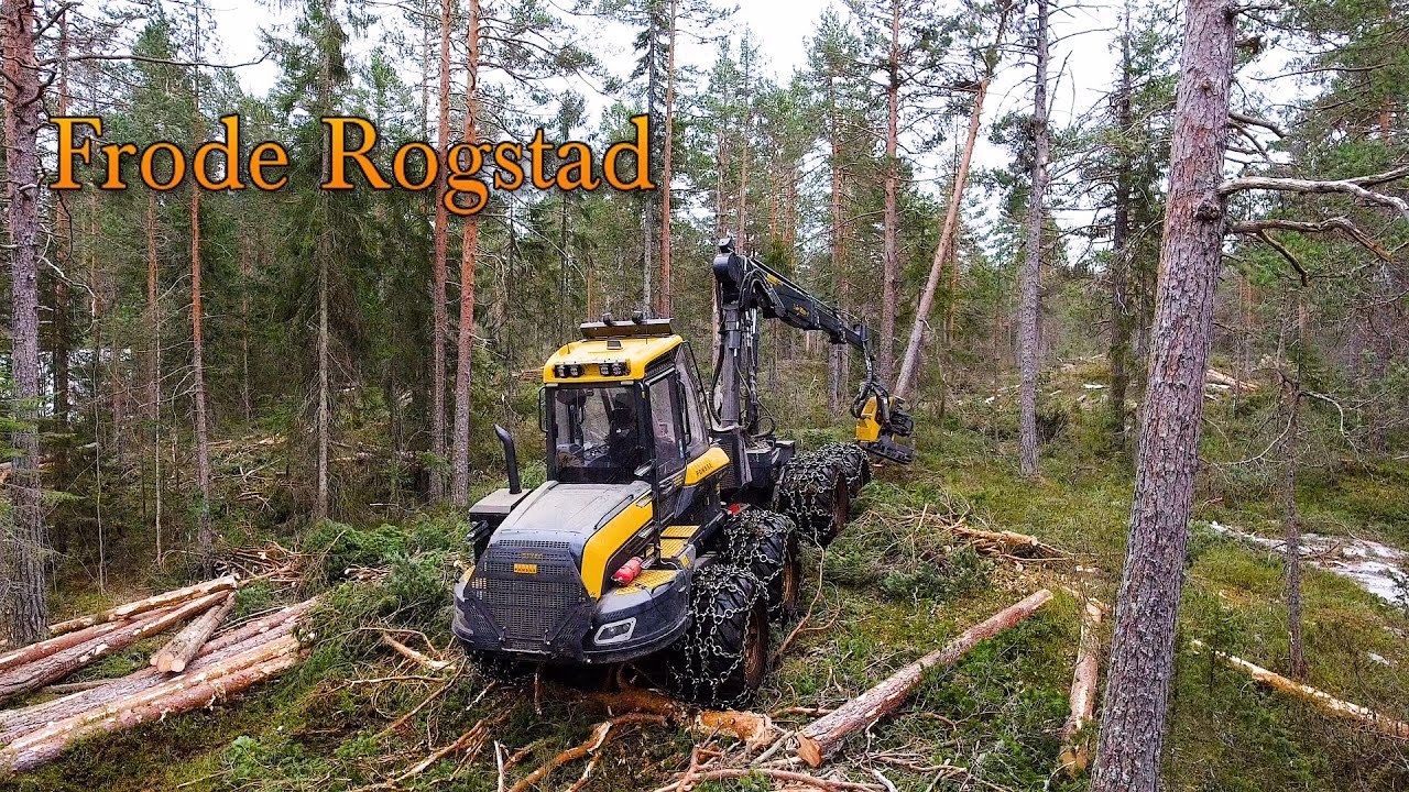 Ponsse BEAR C6 H8 - Frode Rogstad - Norway - 4K (long version)