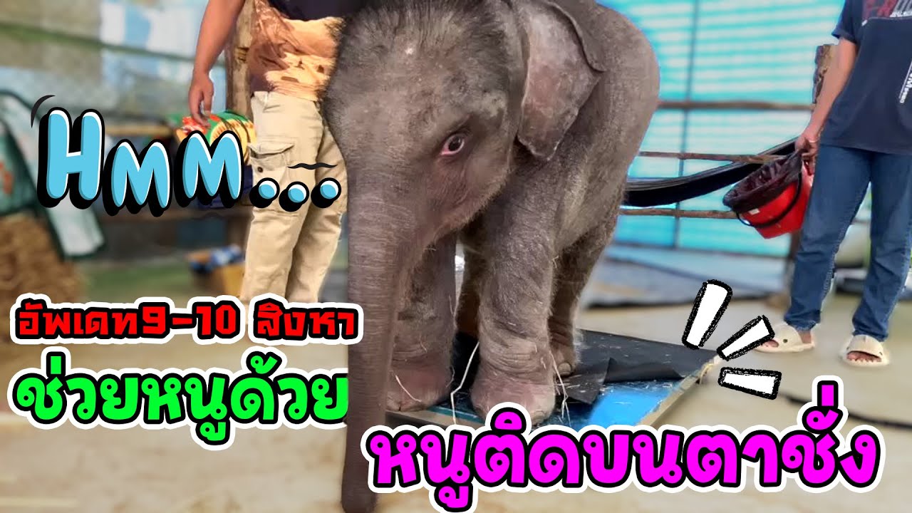 Update 9-10 สิงหา  