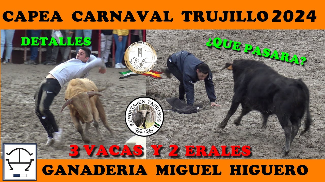 2 ERALES Y 3 VACAS GANADERIA MIGUEL HIGUERO CAPEA CARNAVAL DE TRUJILLO 2024 #bull  #carnaval2024