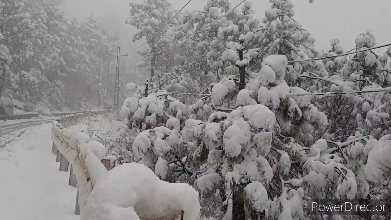 today mureee live snow falling 2021 mureee heavy snow falling murree mallroad new snow fall video