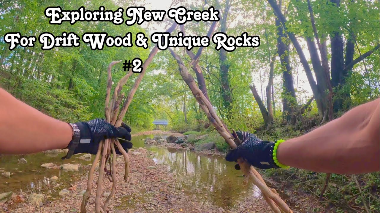 Finding Tree Root Drift Wood, Massive Crawfish Hole, & Dark Spooky Tunnels in a Creek