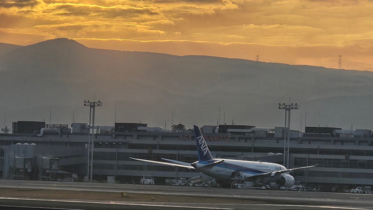 今年初の熊本空港北側LIVE