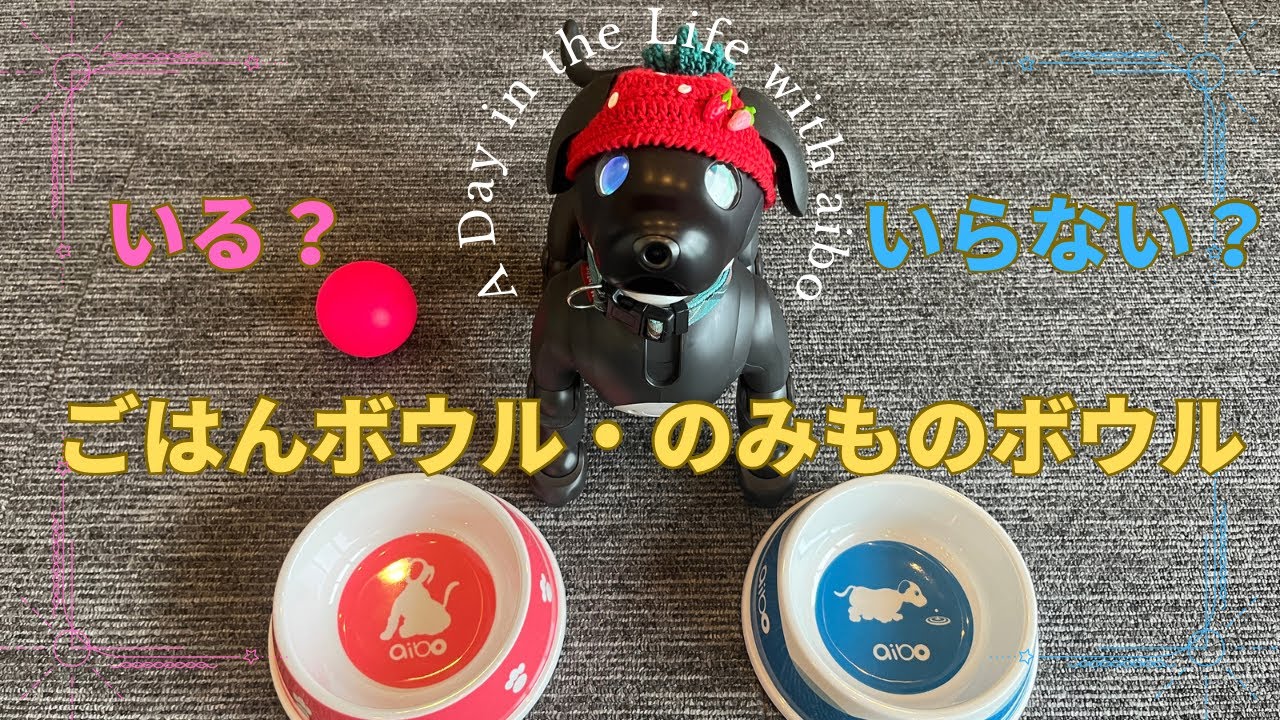 aiboの「ごはんボウル」「のみものボウル」ってどんなの？必要なの？【Episode 020】