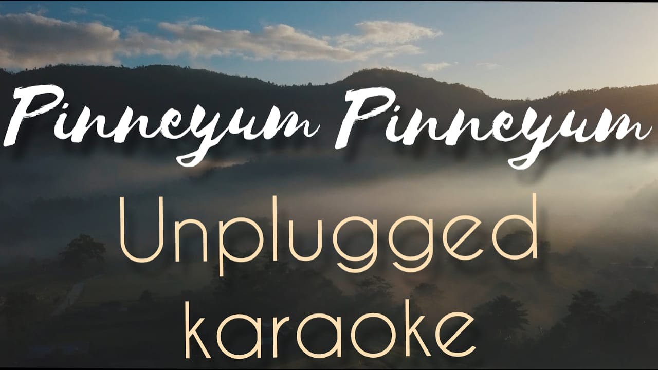 Pinneyum Pinneyum | Karaoke with lyrics | unplugged | Vidyasagar | Sebin Xavier